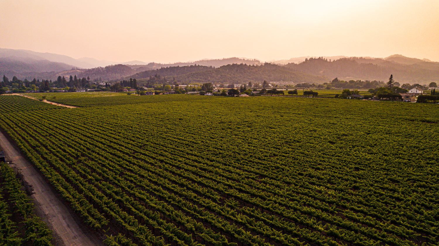 Vinos de california