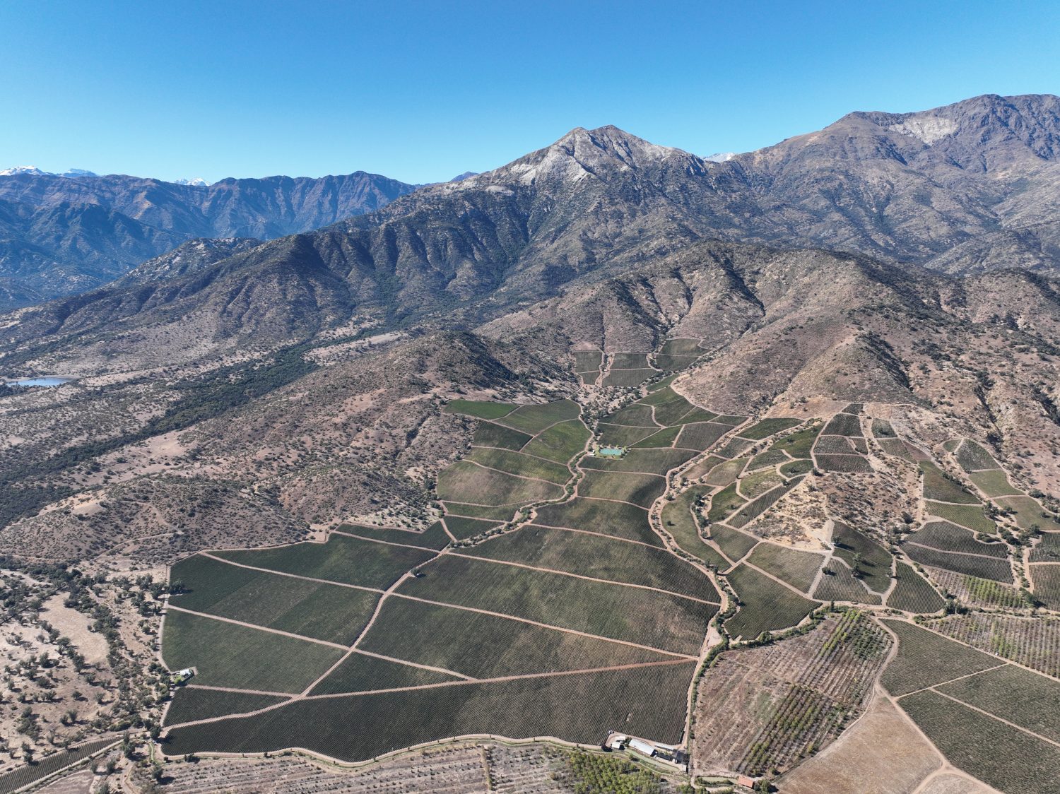 Viñas de Santa Ema