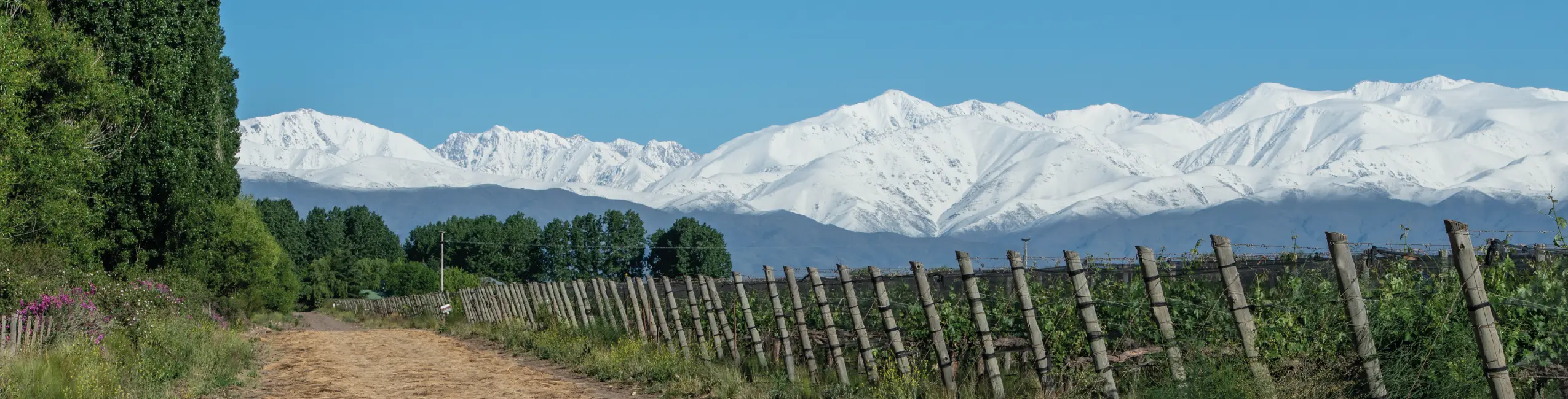 Fincas Patagónicas