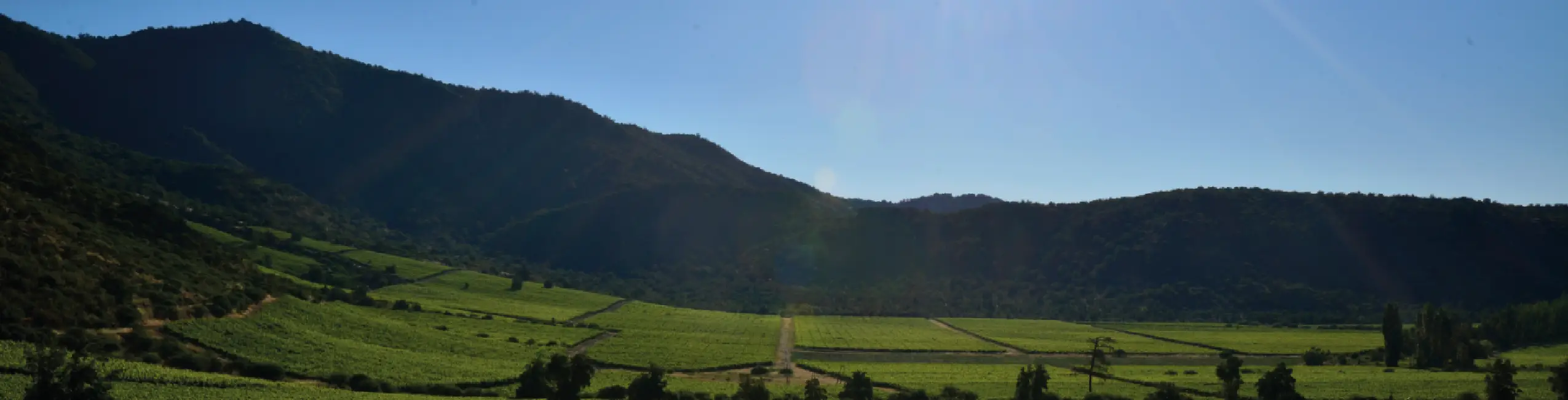 Viña Valdivieso