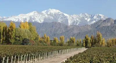Viñedos de altura en Mendoza con montañas de los Andes al fondo