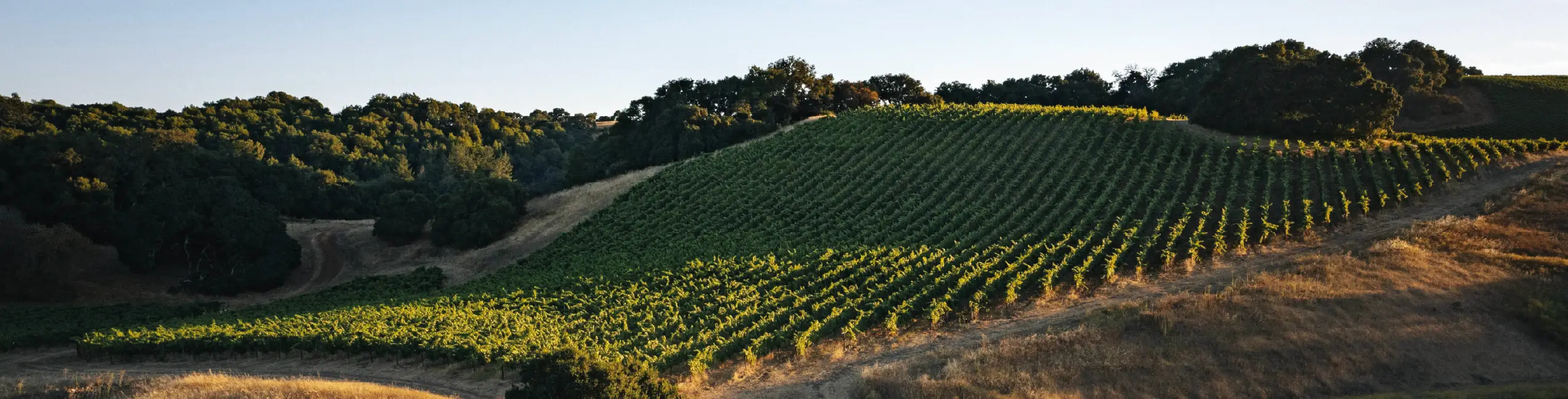 Kendall-Jackson Wine Estate & Gardens