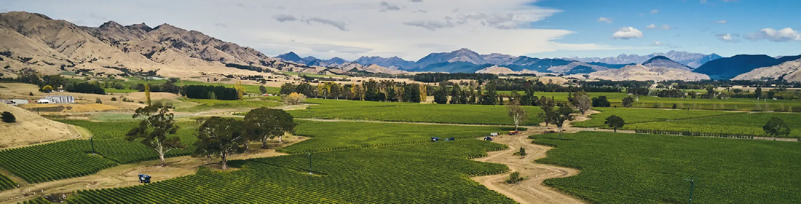 Marisco Vineyards