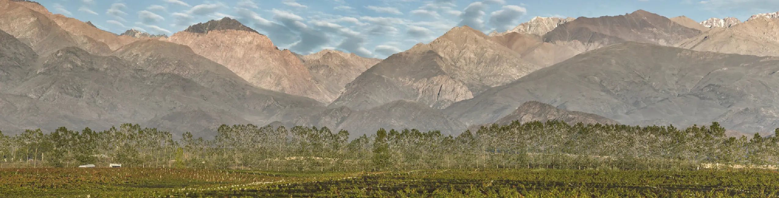 Terrazas de los Andes