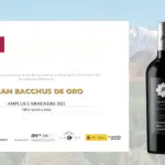 Santa Ema Amplus One Carmene