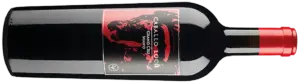 Botella Caballo Loco Maipo