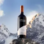 Selección Malbec