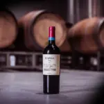 Wapisa Malbec