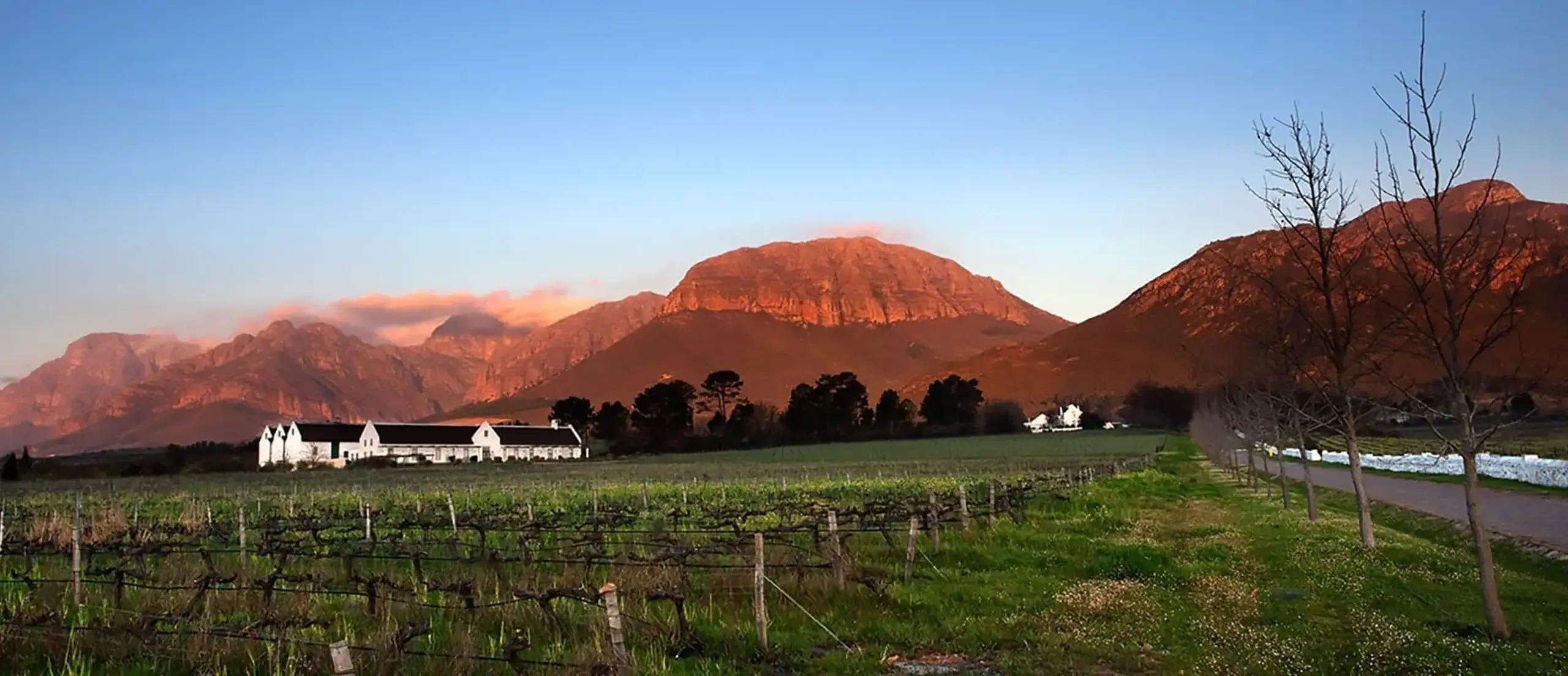 Imagen de viñedo de Avondale winw, Vinos biodinámicos en Sudáfrica