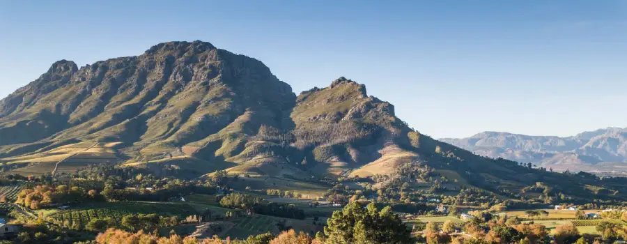 Imagen de viñedo Delaire Graff en Stellenbosch