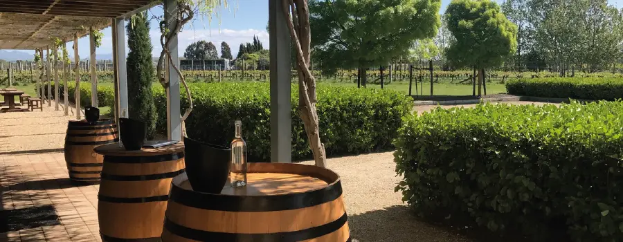 Zona de cata en Fromm Winery