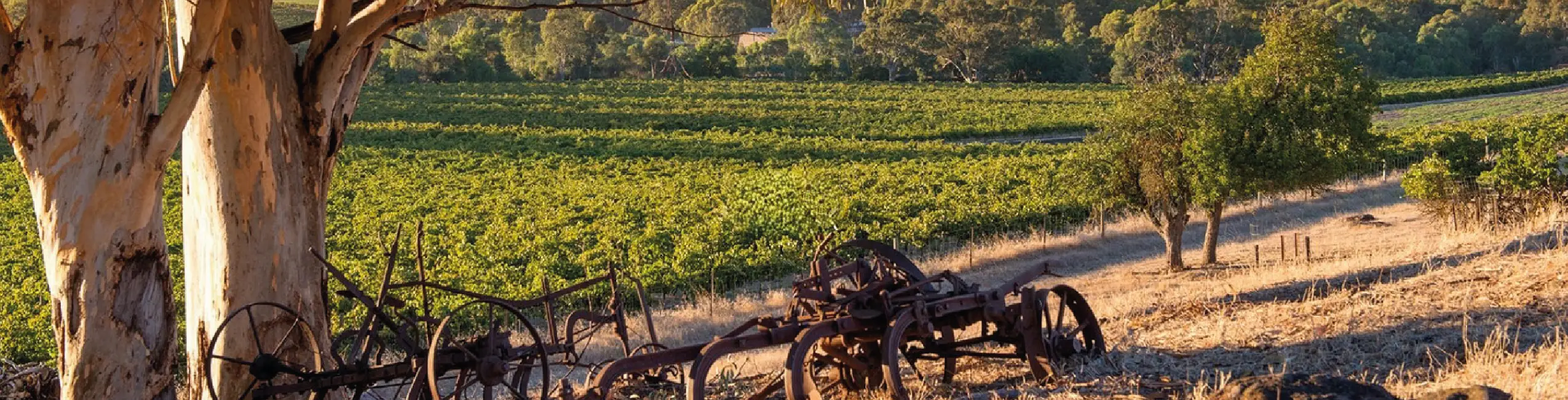 John Duval Wines
