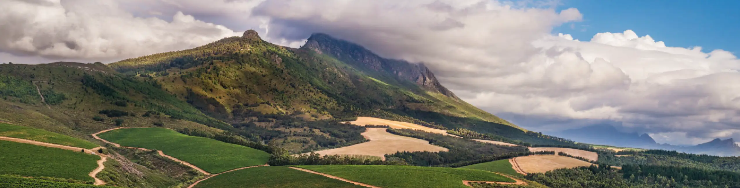Kanonkop Wine Estate
