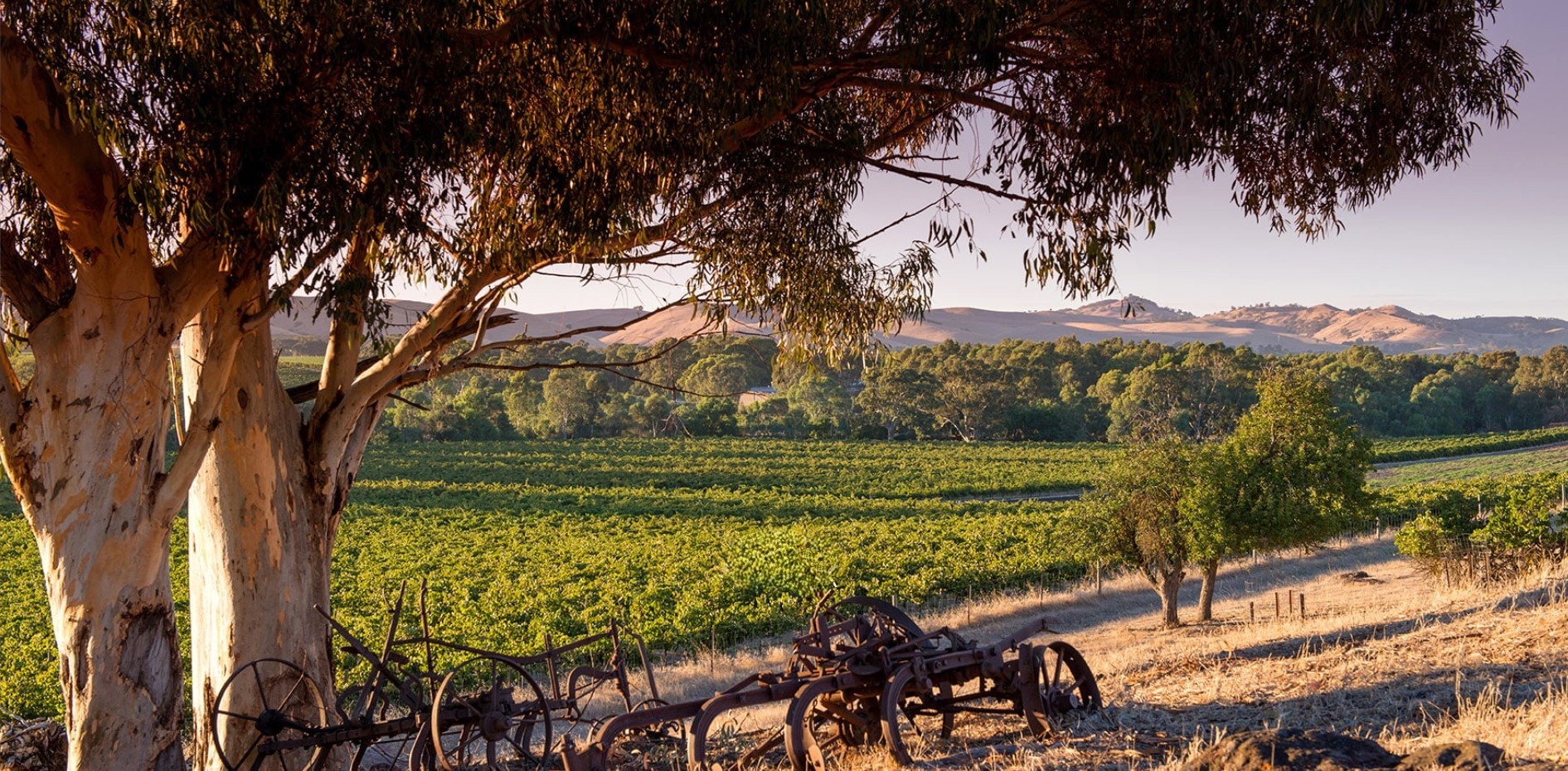 John Duval Wines
