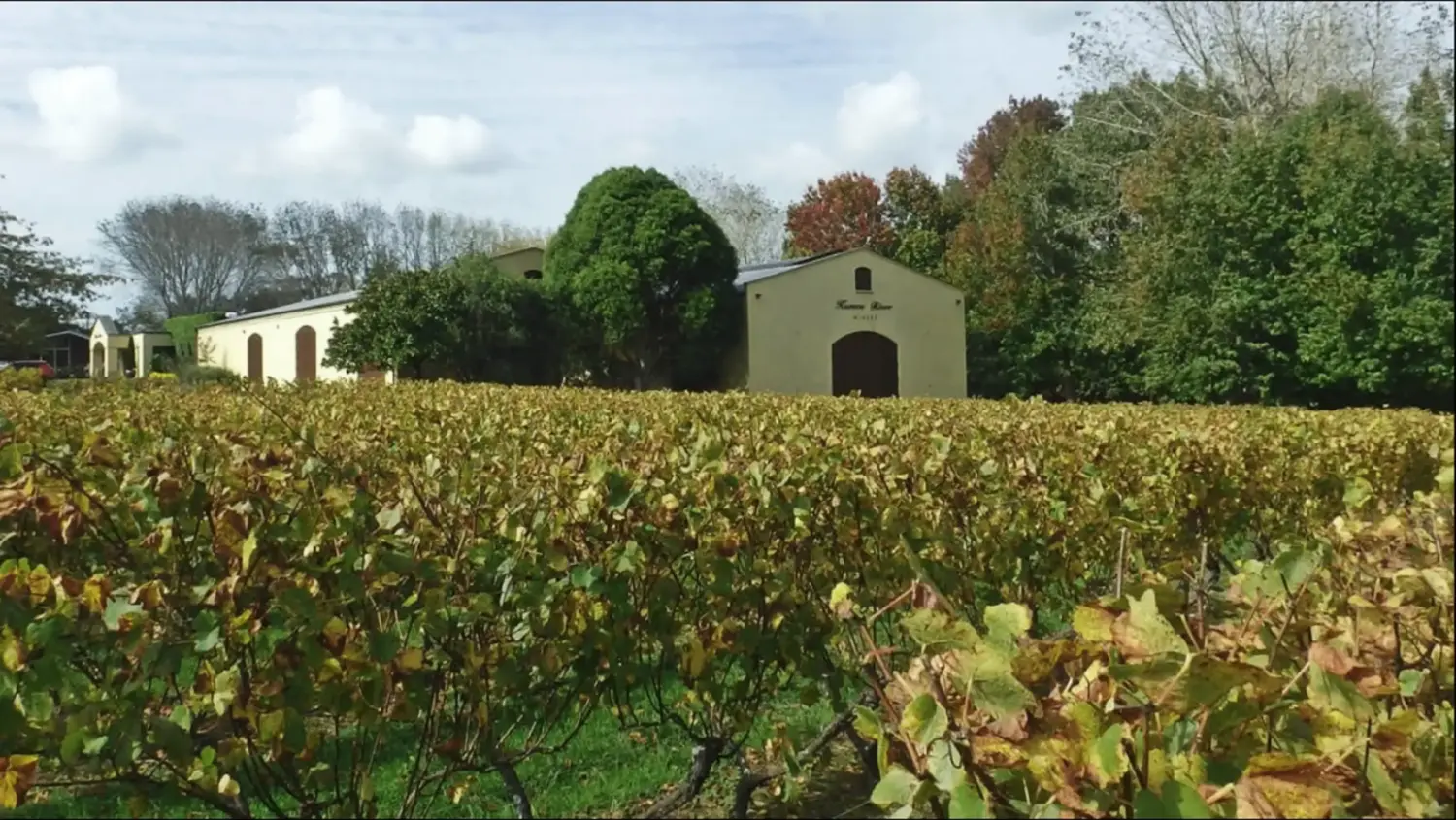 Imagen de bodega Kumeu River