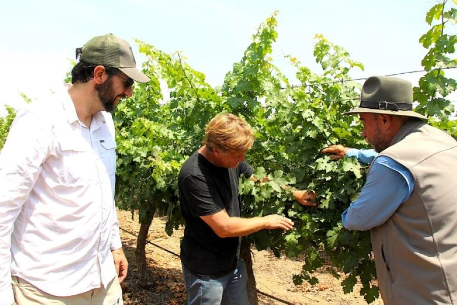 Equipo enólogo vinos peruanos Intipalka