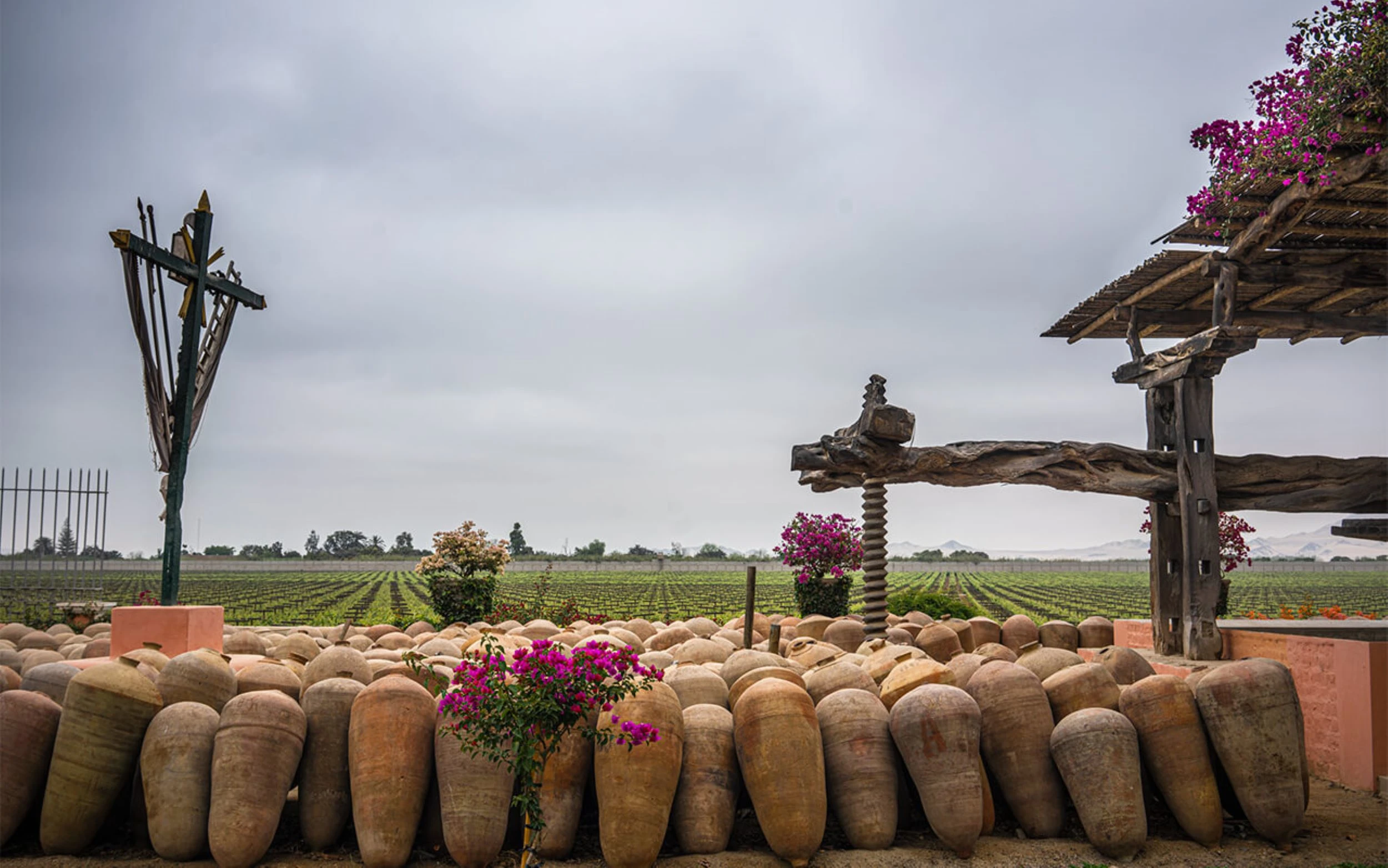 Bodega vinos peruanos Intipalka