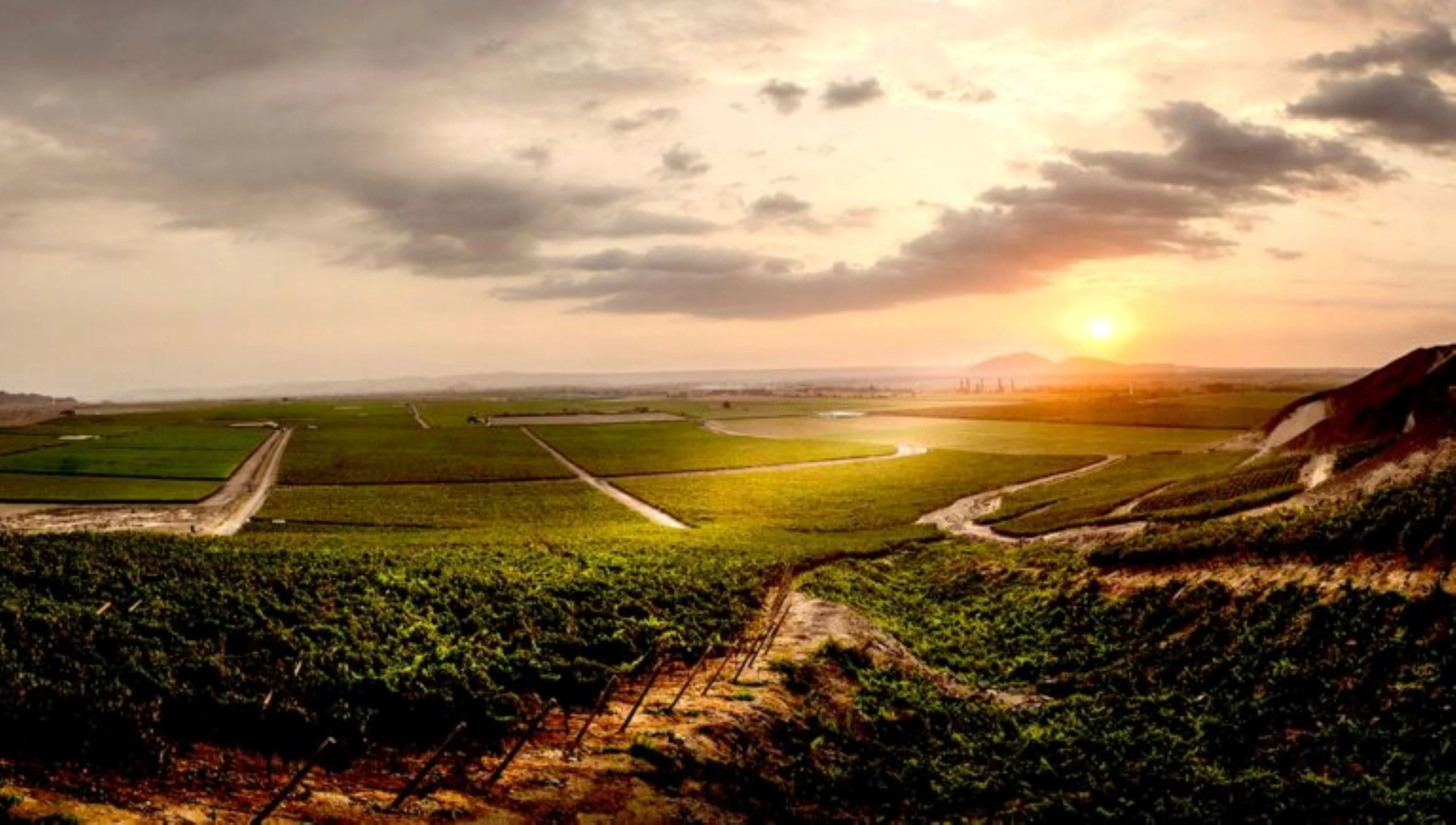 Vinos peruanos Intipalka