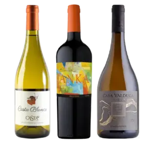 Vinos de America del Sur
