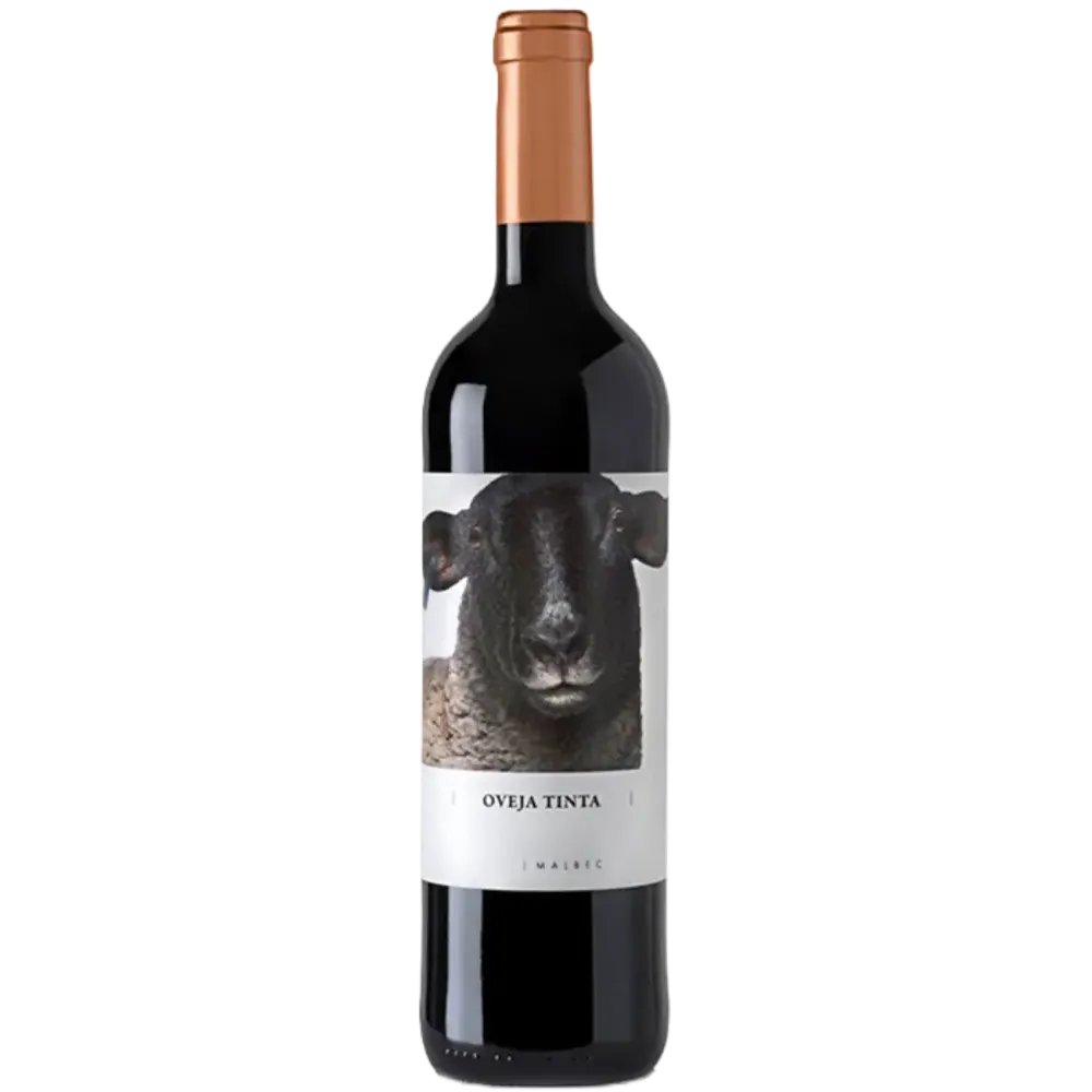 Oveja Graciano Domino de Fontana
