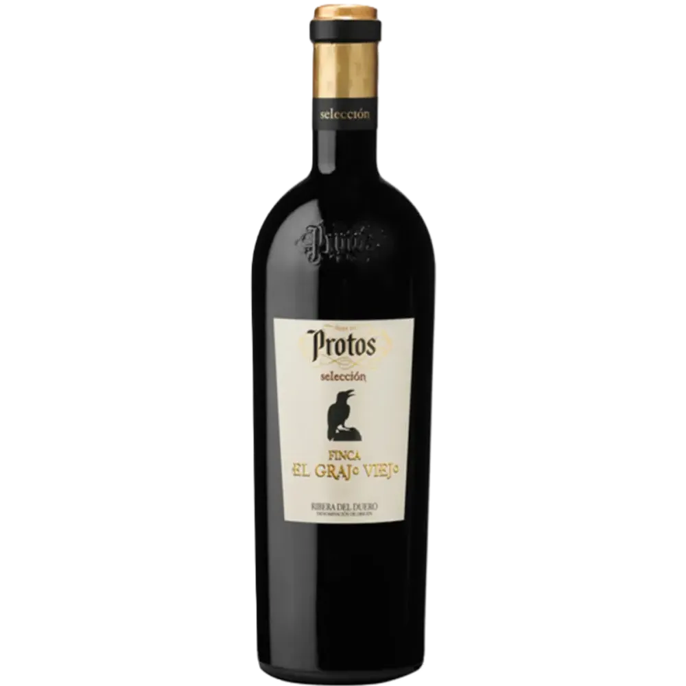 Protos Grajo Viejo
