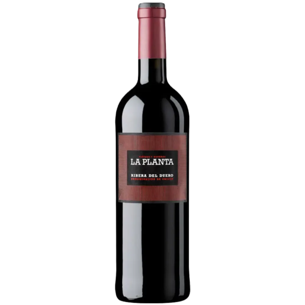 La Planta de Arzuaga Magnum 1,5 Litros