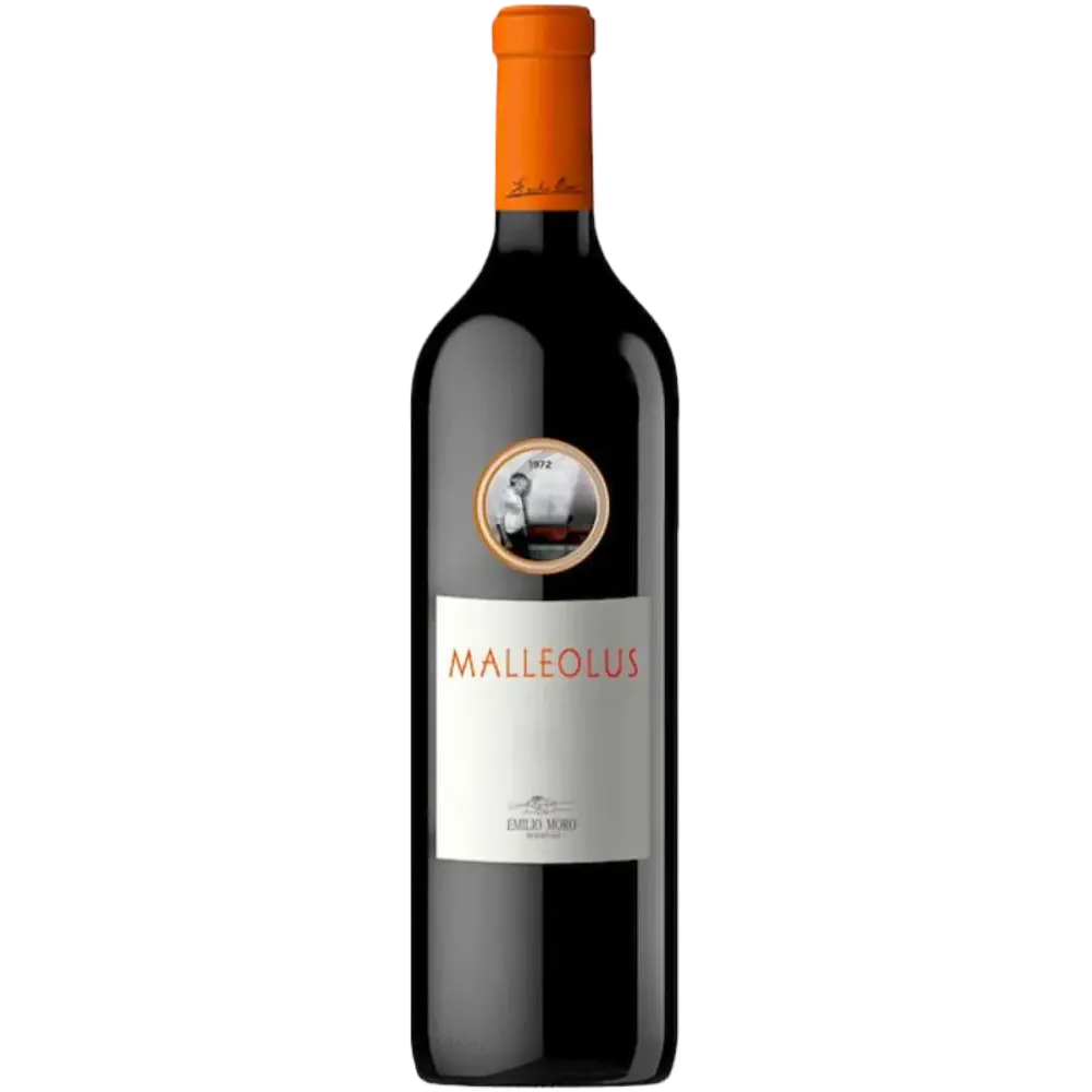 Malleolus