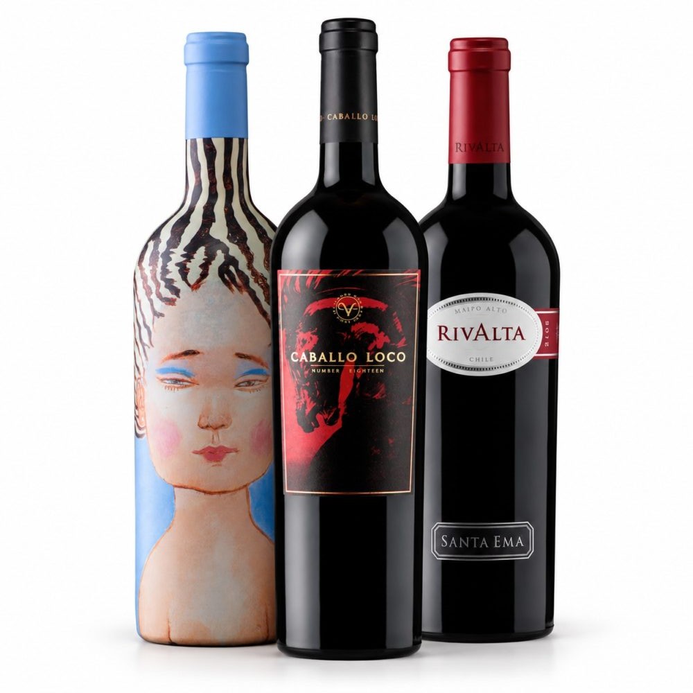 Pack Grandes Vinos de Chile